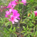 May_2005_1_095