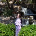 lilacwaterfall