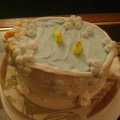 DSC00238