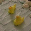 DSC00240