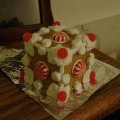 DSC00726