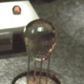 dvc00037