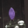 dvc00040