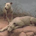 dvc00058