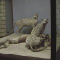 dvc00059