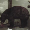 dvc00060