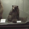 dvc00061