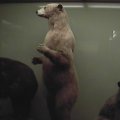 dvc00062
