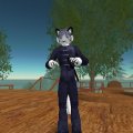 fox_006