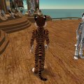 fox_011