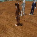 fox_012