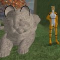 kitties_001