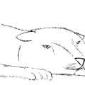 tiger_sad_final