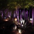 Purple ribbons and spheres at night